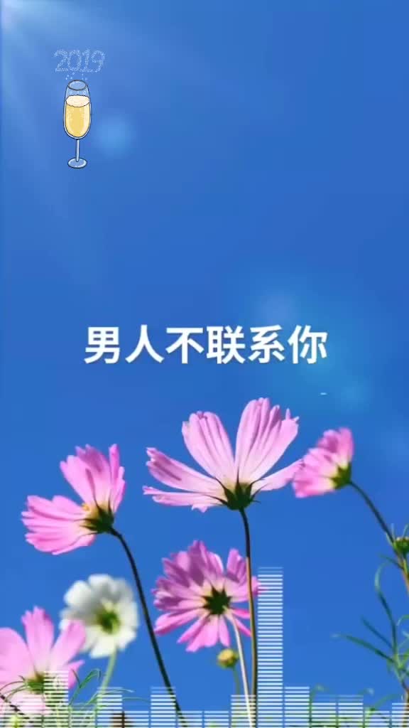 别傻了,宝贝