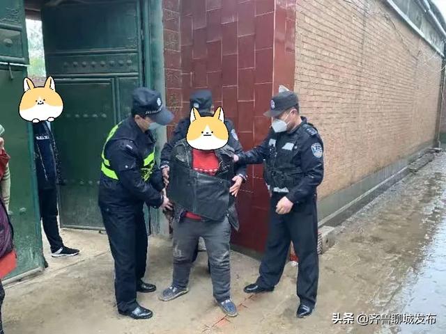 莘县一男子竟让警察蜀黍“抬”上车，筑牢了警民间的“鱼水”情-聊城头条