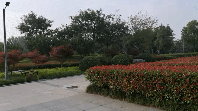 轻松便携、高性价比、MOZA魔爪Mini-s手机云台稳定器评测