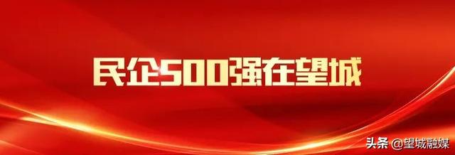 基金000797快讯丨全国知名民营企业助推湖南实施“三高四新”战略大会在望城铜官古镇举行！图
