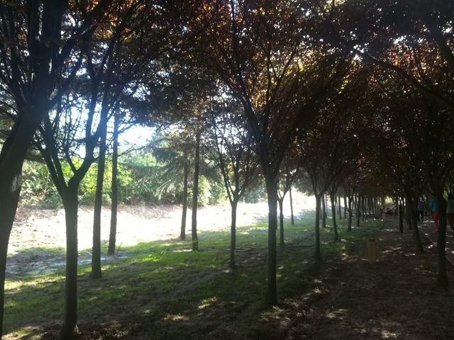 阎良：锦绣公园里的风景！