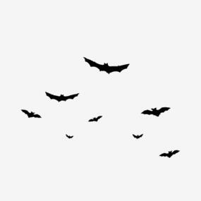 万圣节背景黑色png搜索网 精选免抠素材 透明png图片分享下载 Pngss Com