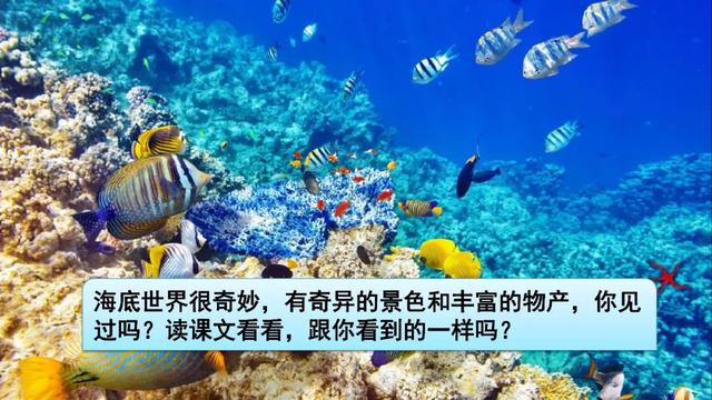 《海底世界》教学内容ppt课件图片预习-跟我学语文