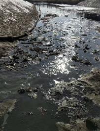 河北大城 黑水排河道园区干部称“没事