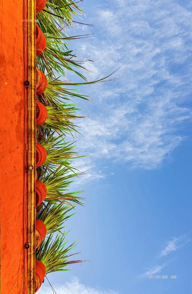 宁静的绚烂--圣米格尔（被疫情撞了腰的墨西哥行程04）