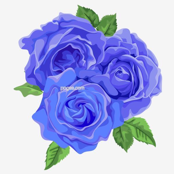 矢量装饰情人节蓝色玫瑰花元素png搜索网 精选免抠素材 透明png图片分享下载 Pngss Com