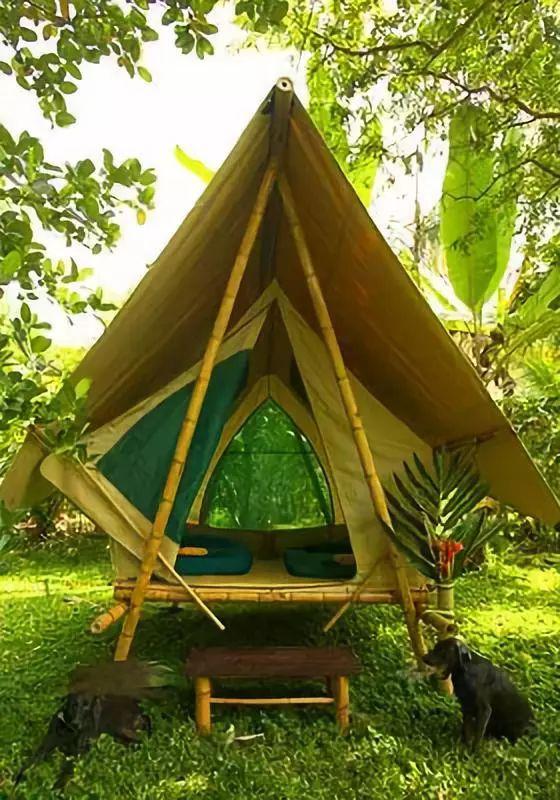 罕见竹楼让你目瞪口呆大开眼界