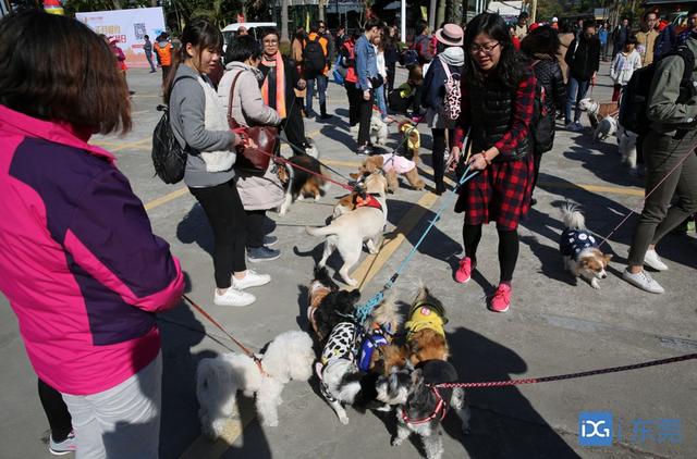 牙烟 东莞一小区监控拍下令人非常揪心的一幕 流行东莞微官网