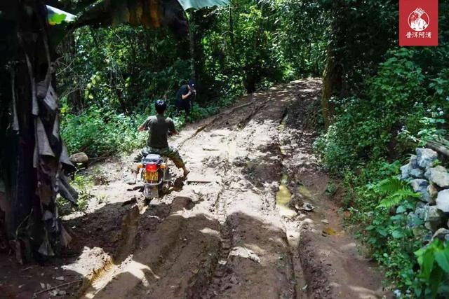 2020年易武春尖|要喝口粮茶,先从这款最优惠的下手