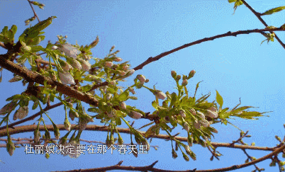 d7c4c76d13a54afe9445dd3f2ba76a29