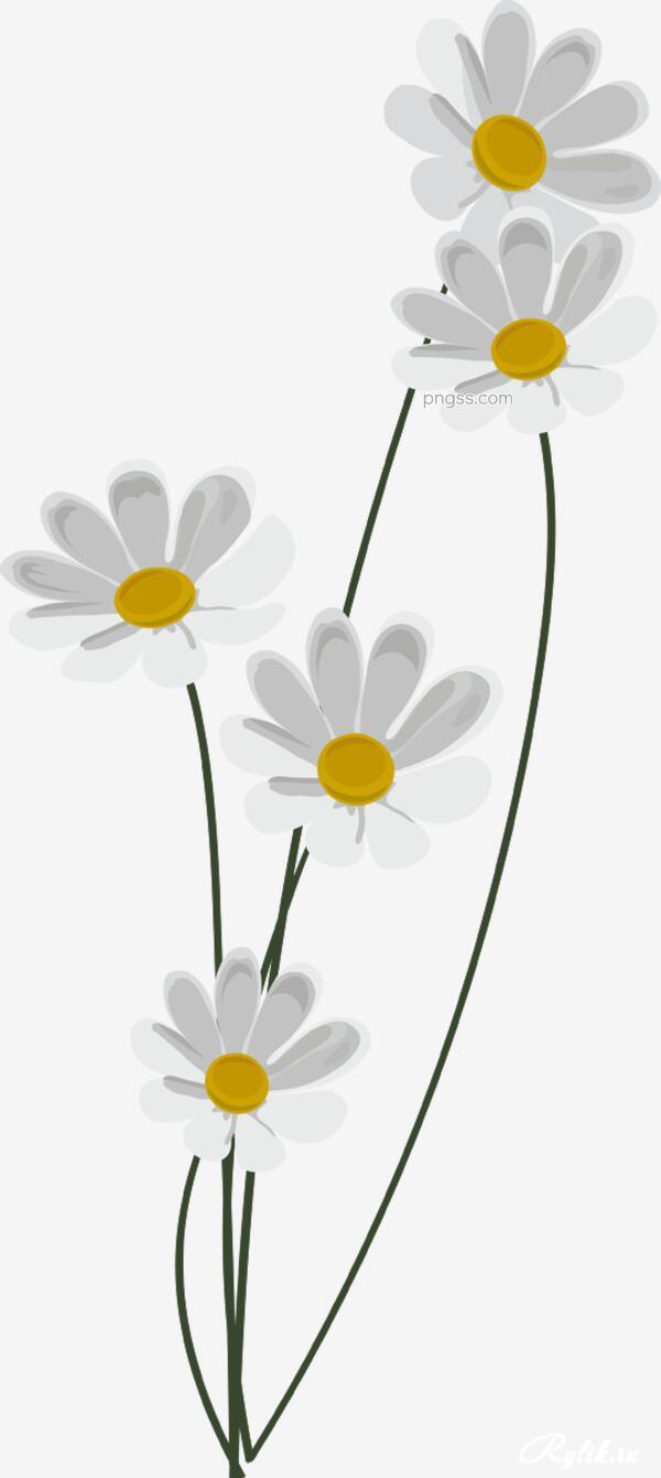 背景花卉png搜索网 精选免抠素材 透明png图片分享下载 Pngss Com