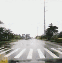 爆笑GIF图：有这样的弟弟，迟早得死到他手里